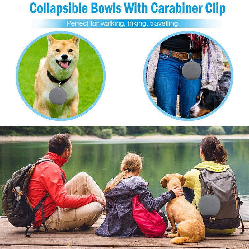 Collapsible Double Pet Bowl with Non-Slip Silicone Mat — Travel-Ready for Dogs & Cats