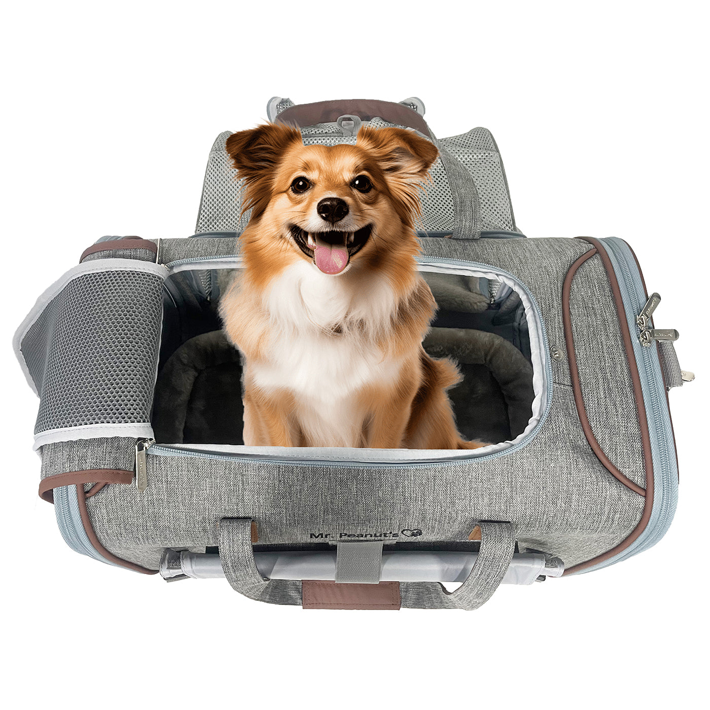 Gold Series Standard Size Airline Compliant Expandable Pet Carrier V3.0