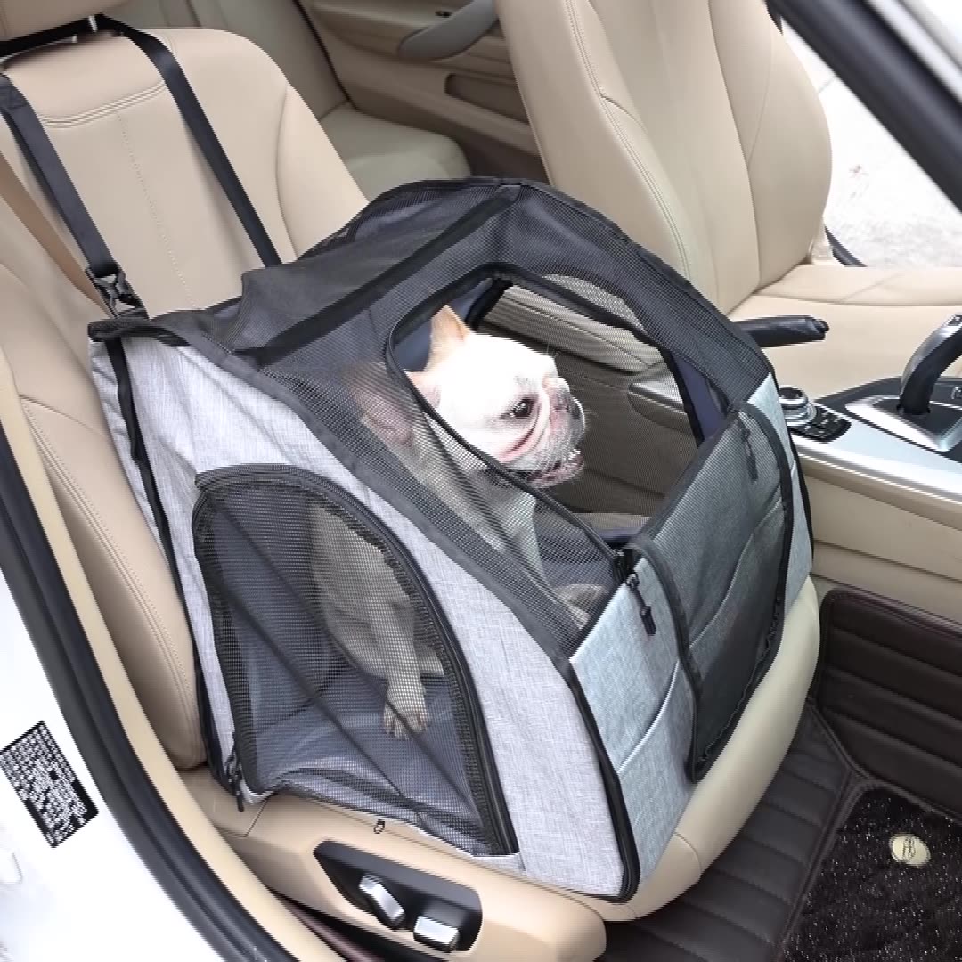 Portable Dog Travel Crate & Nest — Foldable Polyester Carrier for Car & On-the-Go