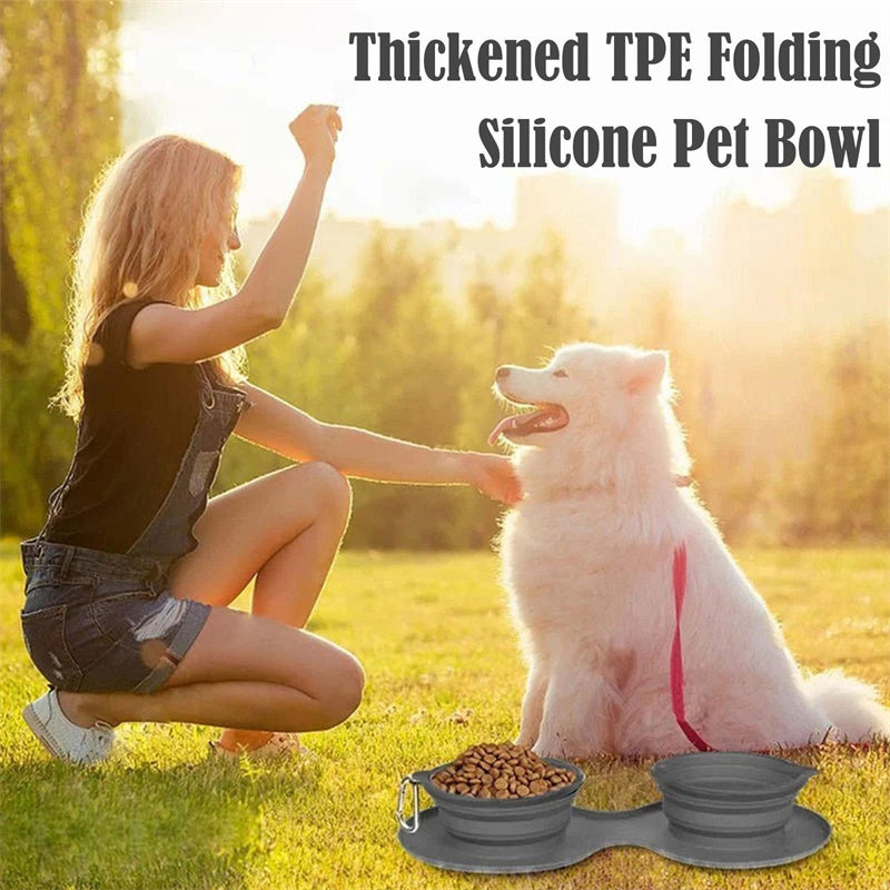 Collapsible Double Pet Bowl with Non-Slip Silicone Mat — Travel-Ready for Dogs & Cats