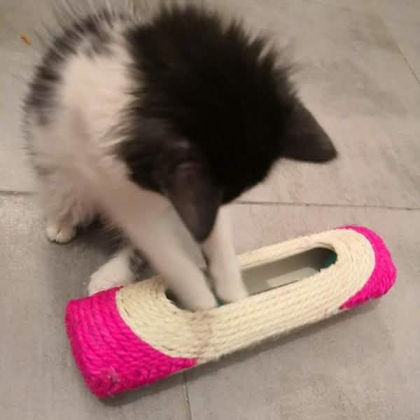 Rolling Sisal Cat Scratching Post with 3 Interactive Balls