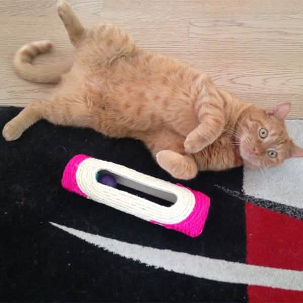 Rolling Sisal Cat Scratching Post with 3 Interactive Balls